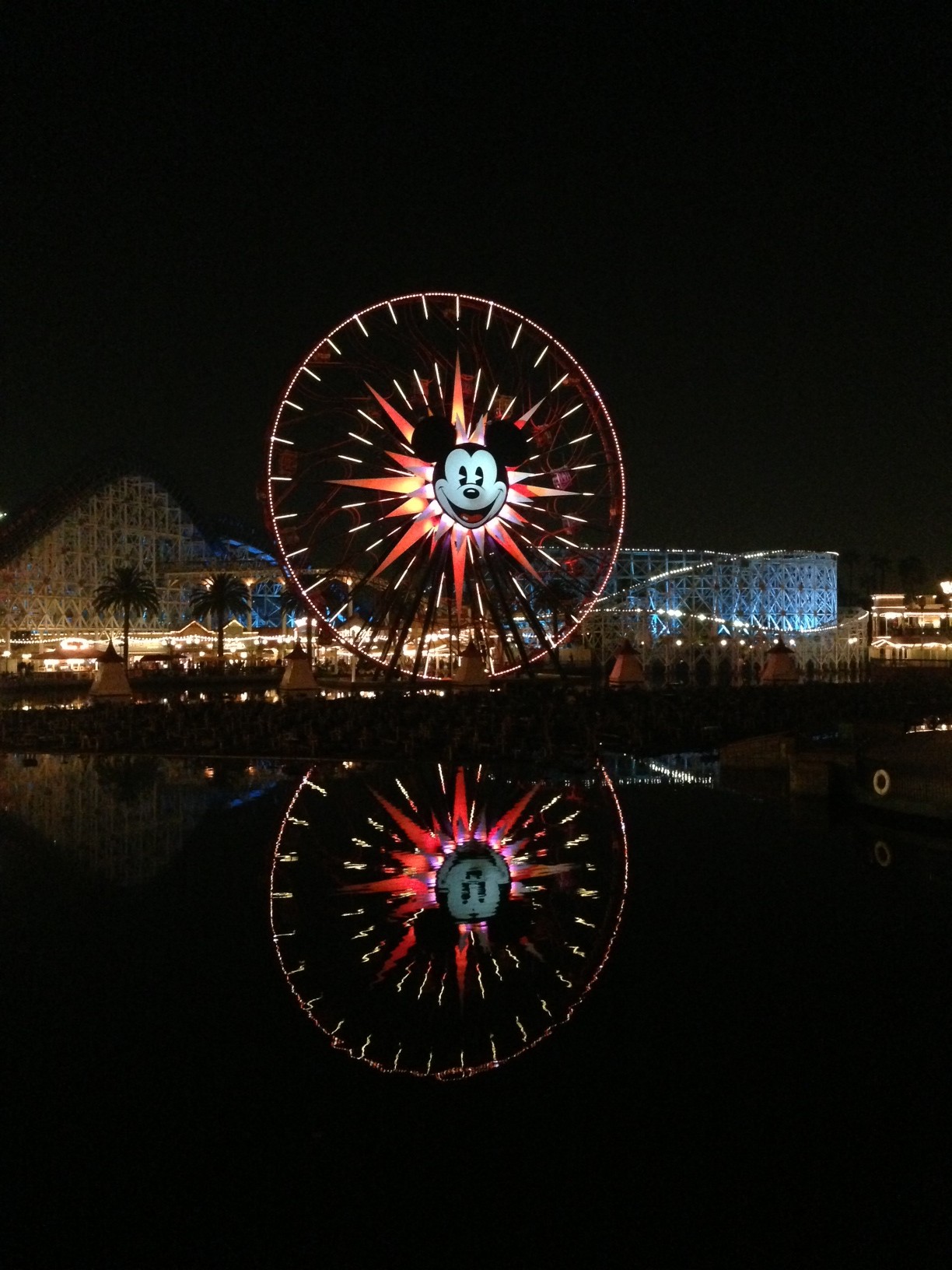Disneyland 2014 Recap // The Little Things We Do
